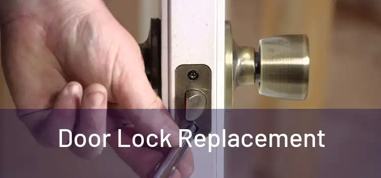  Door Lock Replacement 